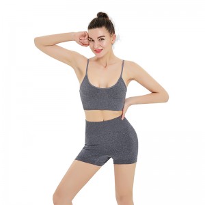 Ptsports Oem Odm Wholesale High Quality Yoga Set Seamless Fitness Leisure Workout Wear